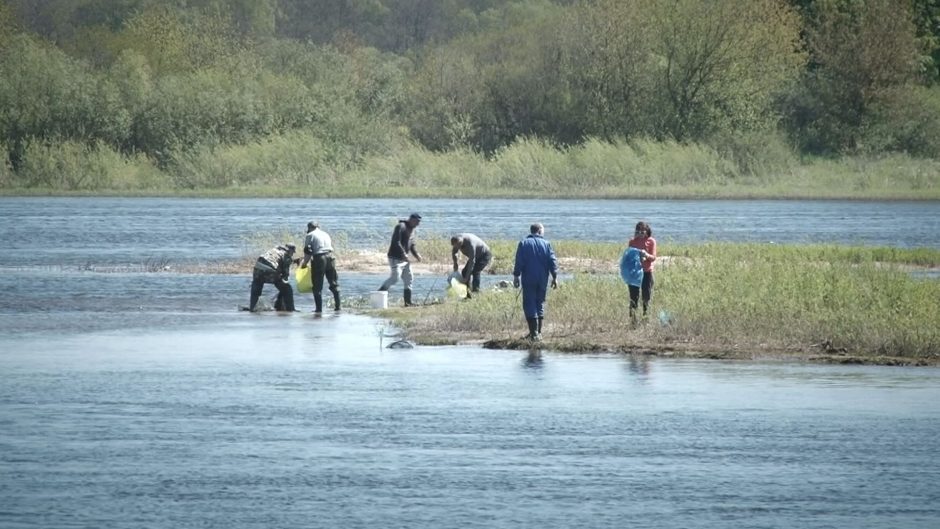 „Gamtos inspektoriai“: kaip Nemuno delta rūpinasi Lietuva ir kaip – Rusija?