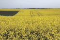 Ūkininkų derlių, jų dirbamos žemės kokybę neigiamai veikia įvairios aplinkybės: klimato kaita, gyvūnų ir augalų ligos, kenkėjai, trąšų, degalų brangimas ir daug kitų. 