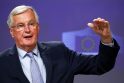 Michelis Barnier