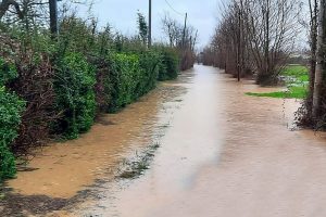 Šiaurės Italiją siaubia nuošliaužos ir potvyniai