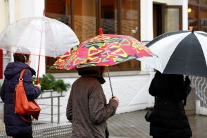 Po gausaus lietaus kyla Vakarų Lietuvos upių vanduo