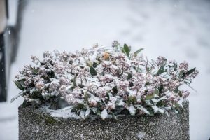 Ar laukiate pirmojo sniego? Pasakė, kada jo tikėtis