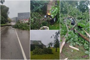 Lietuvą toliau siaubia audra: virsta medžiai, daugybė gyventojų – be elektros