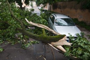 Draudikai: dėl audros savaitgalį gyventojai patyrė daugiau nei 300 tūkst. eurų žalą