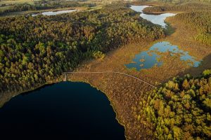 Biologinės įvairovės išsaugojimui Lietuva iki 2030-ųjų ketina skirti 90 mln. eurų