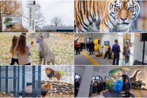 Lietuvos zoologijos sodas: per metus sulaukėme rekordinio skaičiaus lankytojų