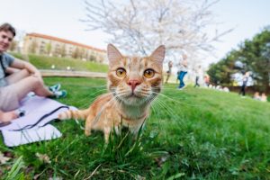 Lietuvoje fiksuotas balandžio 10-osios šilumos rekordas