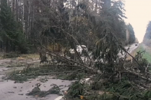 Kaip apsaugoti tiek save, tiek savo turtą nuo klimato reiškinių?