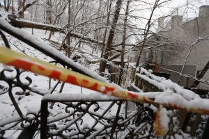 Nuvirtusių medžių šalinti ugniagesiai vyko 213 kartų: labiausiai stichija siaubė Kauną