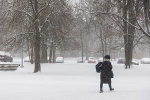 Sinoptikai įspėja: žiemos šaltukas įsismarkaus – kąs vis labiau