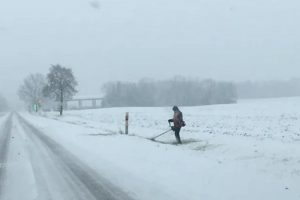 Užfiksuotas vaizdas atėmė žadą: roges ruošk vasarą, žolę pjauk žiemą?