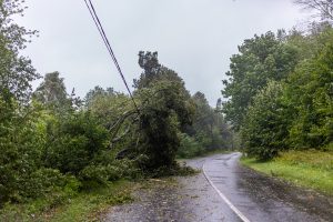 ESO: elektros vis dar neturi 60 tūkst. vartotojų