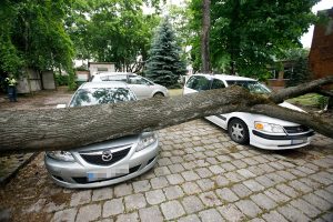 Stiprus vėjas vertė medžius: Kaune vienas apgadino automobilį