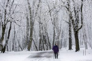 Meteorologų prognozės: kokios žiemos galime sulaukti?