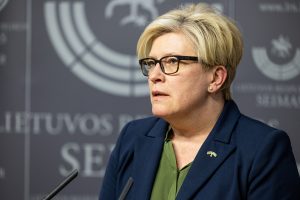 I. Šimonytė situaciją dėl nukritusio lėktuvo aptarė su atsakingomis institucijomis