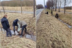 Briedžiuko bandymas perbėgti uostamiesčio gatvę baigėsi tragedija