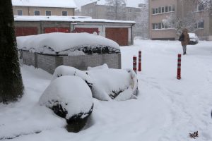 Klaipėdiečiai vėl lieja pyktį dėl šiukšlių kalnais užverstų konteinerių