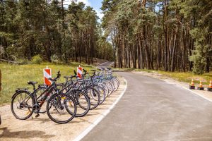 Ieškoma, kas toliau atnaujins Kuršių nerijos dviračių taką