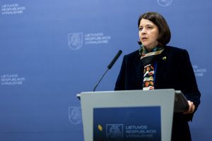 G. Skaistė: mokesčių pakete atsižvelgta į partnerių bei Prezidentūros siūlymus 