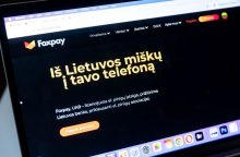 Teismas atidėjo Trinkūnaitės ir Vyriausybės bylos nagrinėjimą